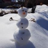 Бехтольд  Марк 